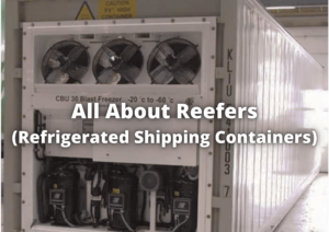 Read more about the article Ultimate Guide To Reefers (Refrigerated Shipping Containers)