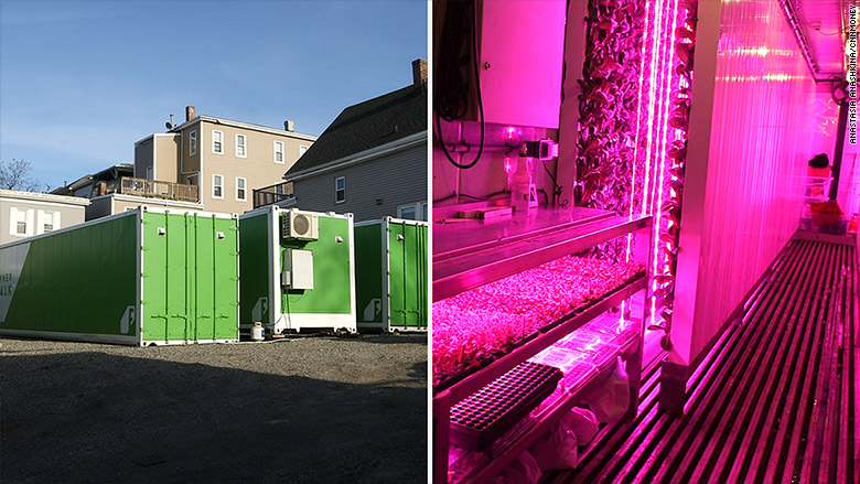 shipping-container-farms_corner-stalk-780x439-1